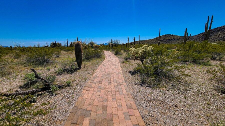 10 Important Tips for Camping at Twin Peaks Campground in Organ Pipe Cactus  National Monument | MPA Project Travels